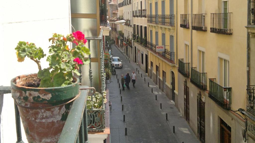 Hostal San Antonio Madrid Eksteriør bilde