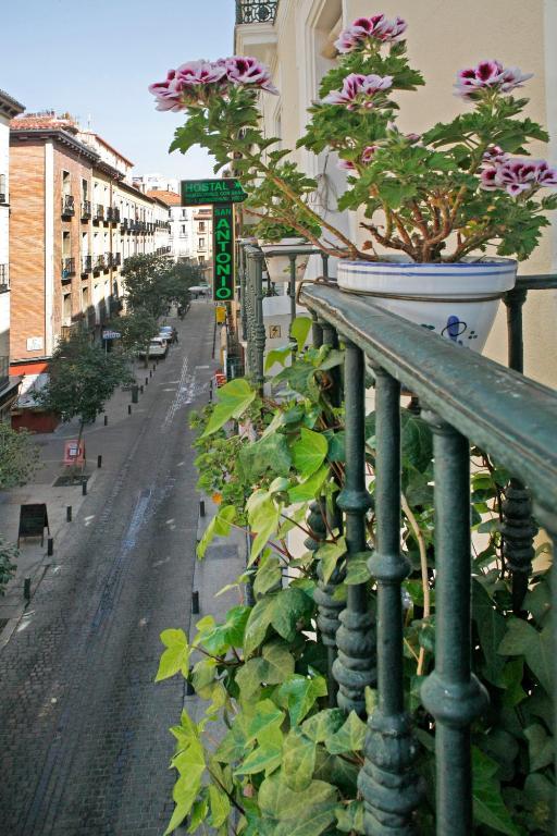 Hostal San Antonio Madrid Eksteriør bilde